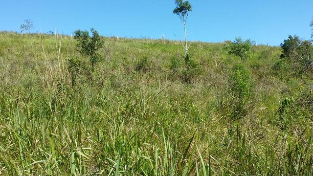 Sítio a 100 km de São Paulo - Foto 2