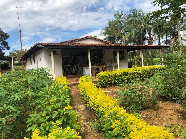 Fazenda em Bela Vista de Goiás de 15 Alqueires, à 45 km de Goiânia Dentro da Cidade - Foto 13