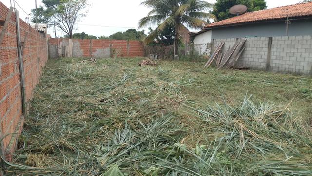 Venda de um terreno - Foto 7