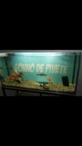 Áquario top - Foto 3