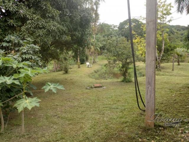 Chácara com 5 dormitórios à venda, 8200 m² por r$ 350.000 - colônia marques - morretes/pr - Foto 8