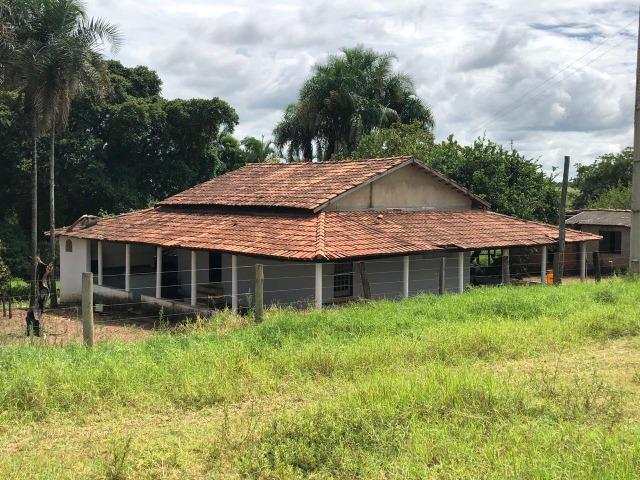 Fazenda em Bela Vista de Goiás de 15 Alqueires, à 45 km de Goiânia Dentro da Cidade - Foto 18