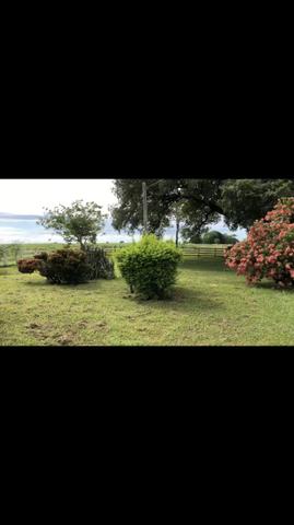 Fazenda em Rosário Oeste 1.460 hectares á venda - Foto 6