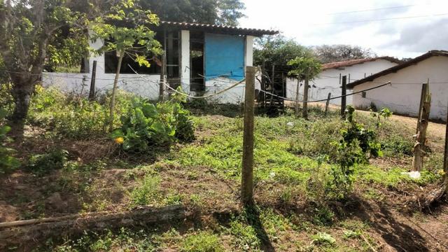 Fazenda Com 49.7 Hectares a 8 km do Centro da Cidade-Gravatá-PE - Foto 19