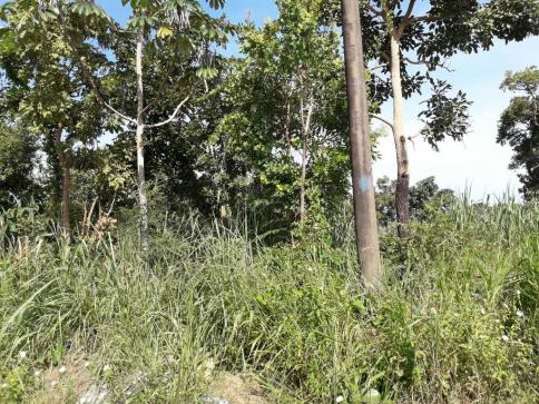 Loteamento/condomínio à venda em Jardim presidente i, Cuiaba cod:21141 - Foto 2
