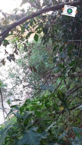 Pesqueiro em barao de melgaço - Foto 12