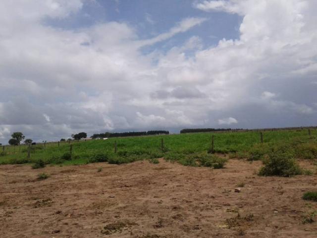 Chácara à venda em Rural, Nova mutum cod:22068 - Foto 13