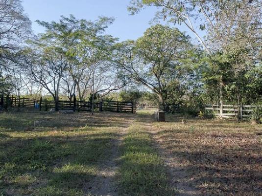 Chácara à venda em Zona rural, Santo antonio do leverger cod:21685 - Foto 6