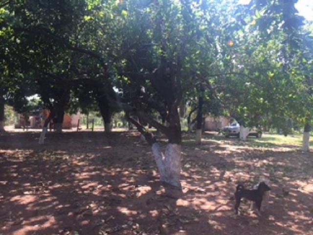 Chácara à venda em Bom sucesso, Varzea grande cod:20593 - Foto 15