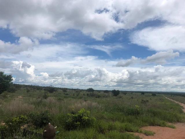 Chácara à venda em Rural, Nova mutum cod:22068 - Foto 14