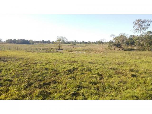 Chácara à venda em Zona rural, Pocone cod:20534 - Foto 17