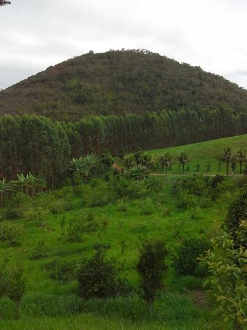 Fazenda 159,72 hectares - Leopoldina/MG; - Foto 7