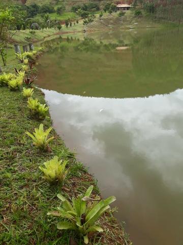Fazenda 159,72 hectares - Leopoldina/MG; - Foto 3