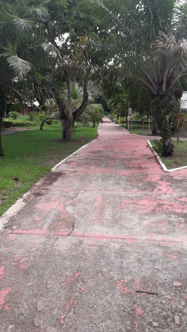 Maravilhoso LOTE no Condomínio Clube VILAS DO JAQUÍPE - Foto 4