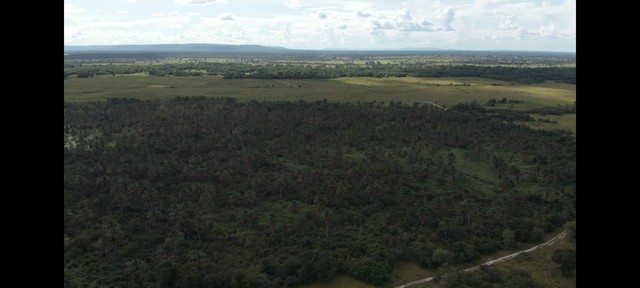 FAZENDA COM 2.700 HECTARES COM OUTORGA DE AGUA, PRA IRRIGAÇÃO!! - Foto 4