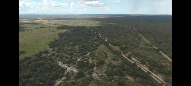 FAZENDA COM 2.700 HECTARES COM OUTORGA DE AGUA, PRA IRRIGAÇÃO!! - Foto 5