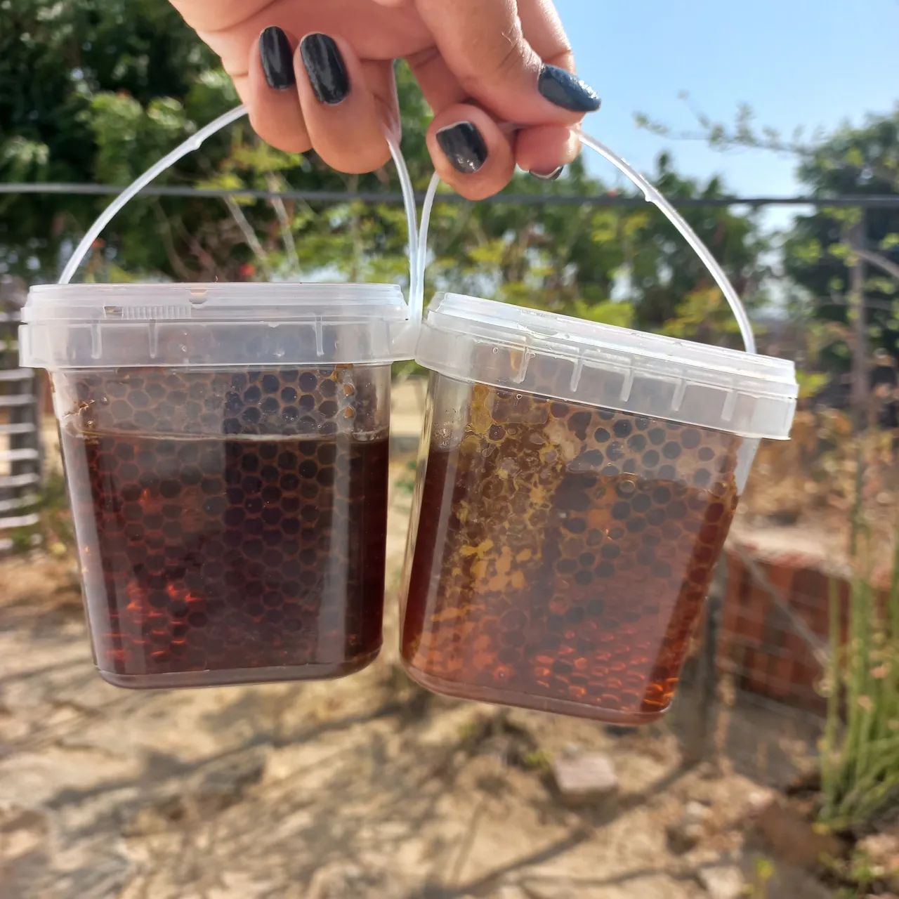 Mel de Abelha Puro -  potes de 500ml - Foto 2