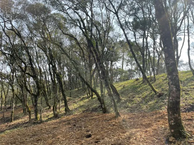 Chácara à venda em Urubici/SC