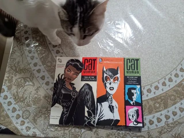 Catwoman by Ed Brubaker 1 e 2 (DC Comics) importado - arte de Darwyn Cooke Cameron Stewart