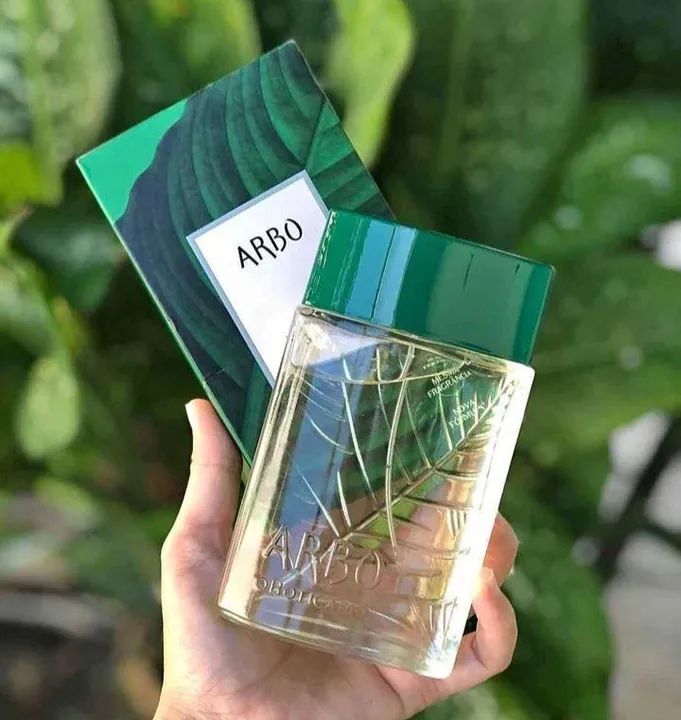 Perfume Arbo - Masculino - 100ml