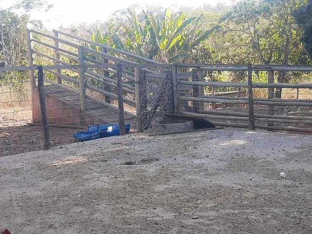 Fazenda à venda - Unaí - Foto 2