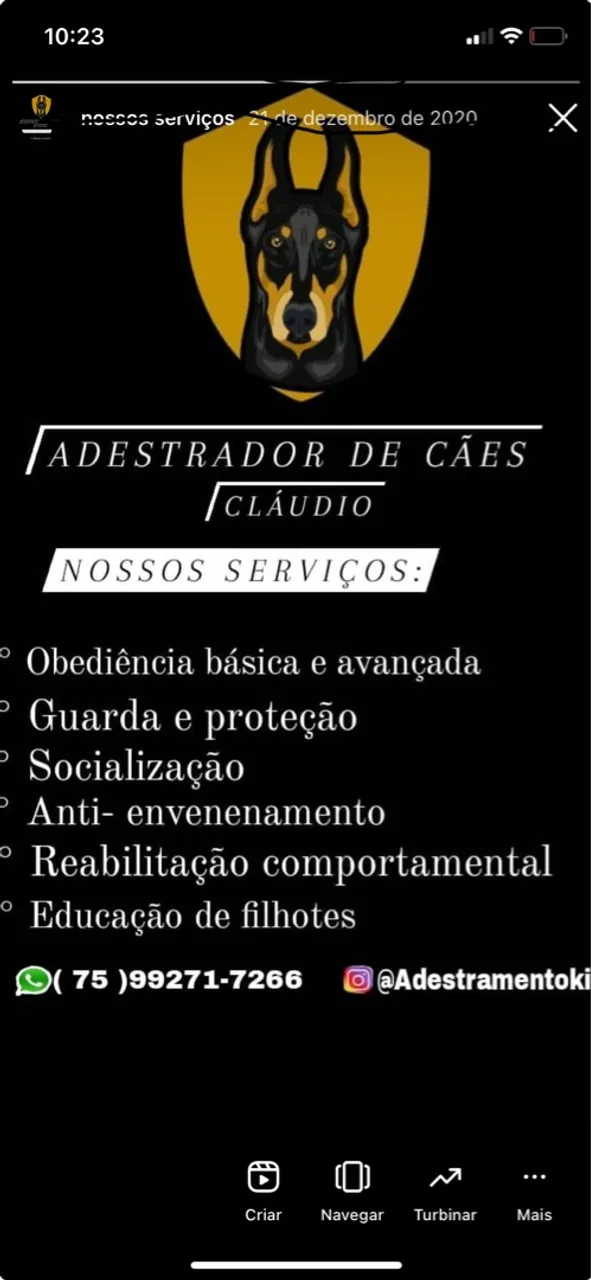 Adestrador de cães : adestre e tenha um cão equilibrado adestrador Cláudio *66