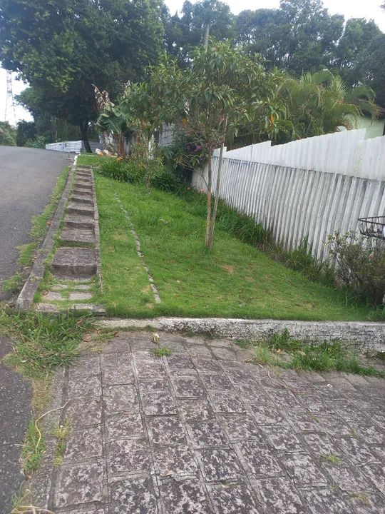 Jardinagem & Paisagismo  - Foto 2