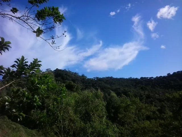 Oportunidade. Excelente Sítio em Nova Friburgo Ótima Área de Terreno - Foto 2