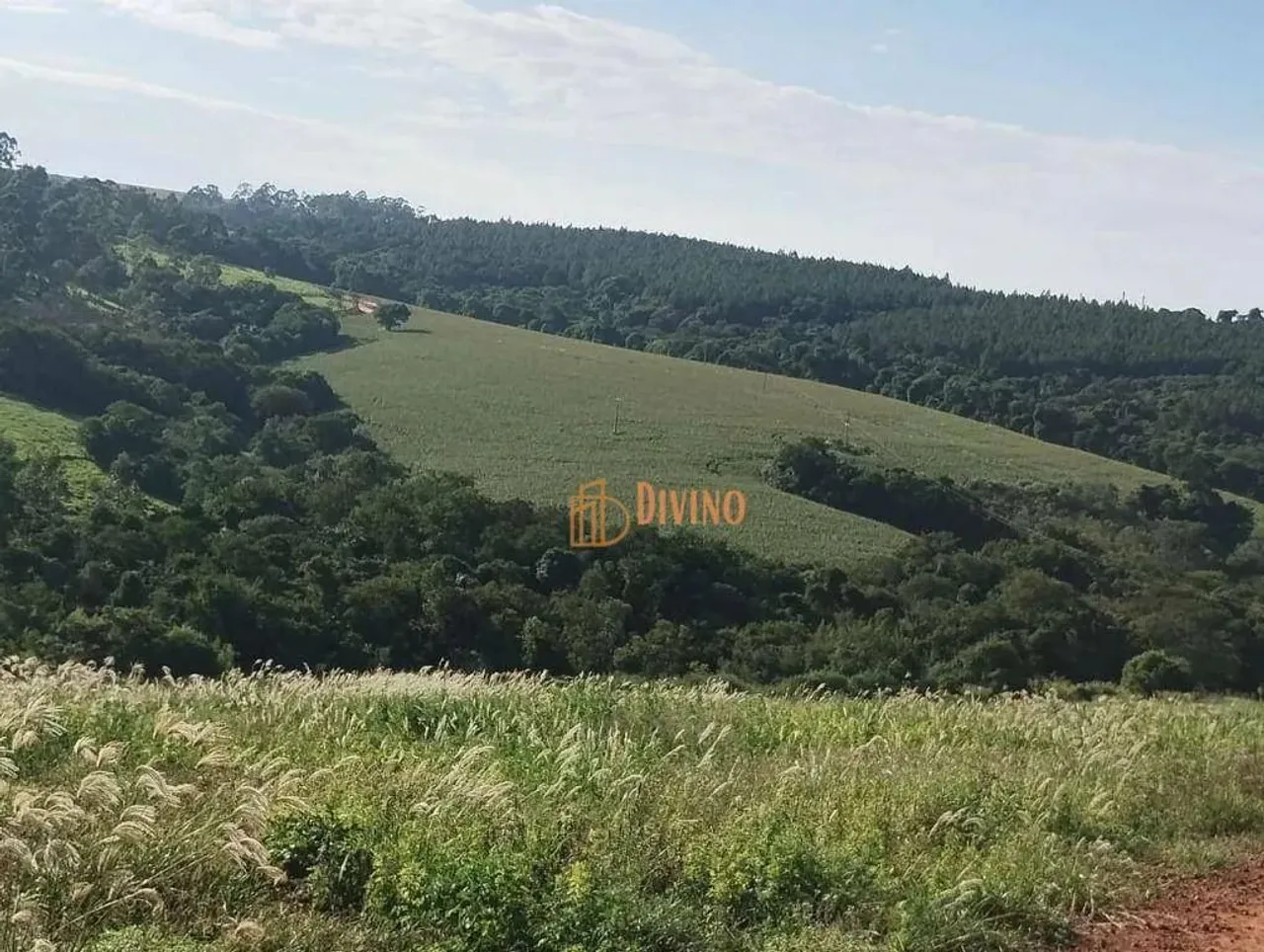 Sítio à Venda em Coronel Macedo-SP