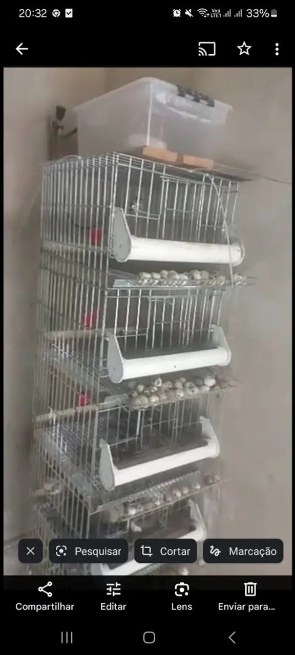 Gaiola para criação de codornas