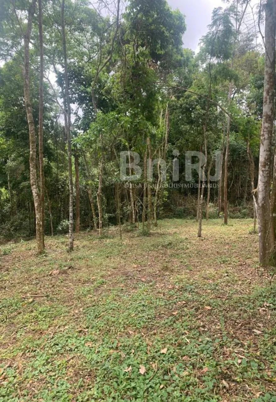 Araras, Petrópolis RJ. 11 lotes no Vale das Videiras. Rodeada por exuberante natureza, ide - Foto 9