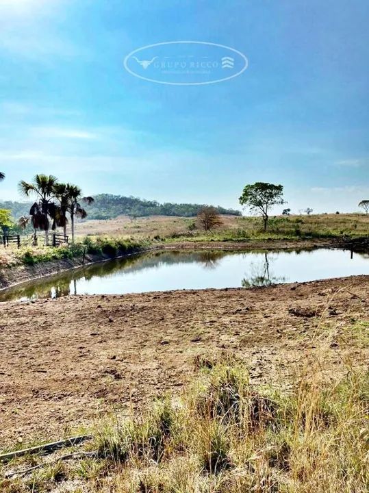 Fazenda Extra em Dueré-TO ! 301 Alqueires ! 500 Há para Lavoura - Foto 5