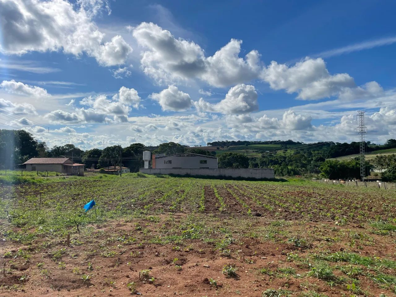 Foto - Terezópolis de Goiás - 