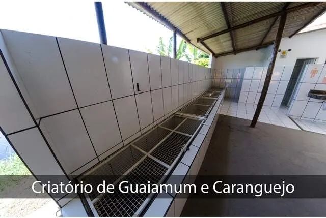 Cabana na Rodovia Ilhéus/Itacaré - Foto 4