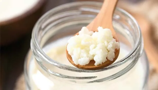 Kefir de Leite - Colônia Super Ativa