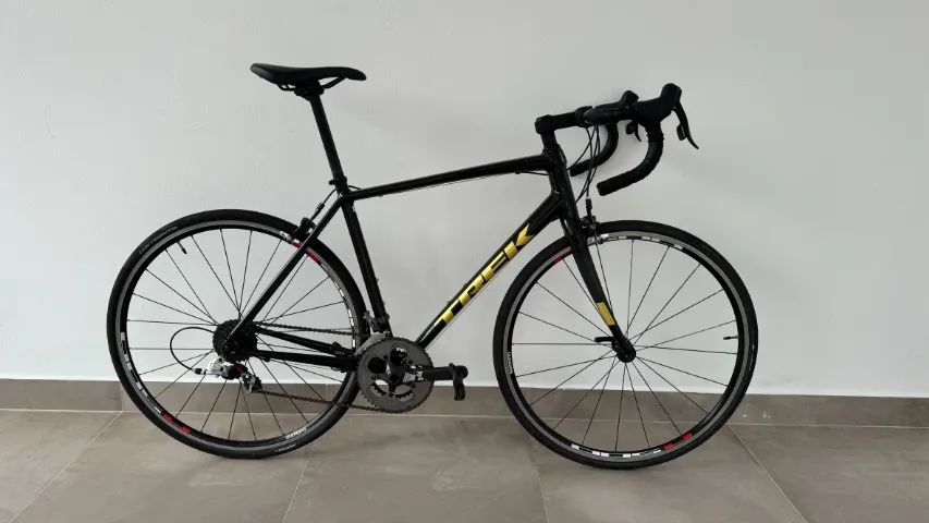 Trek Domane AL2 RIM (com Upgrade) - Ciclismo - Santa Mônica