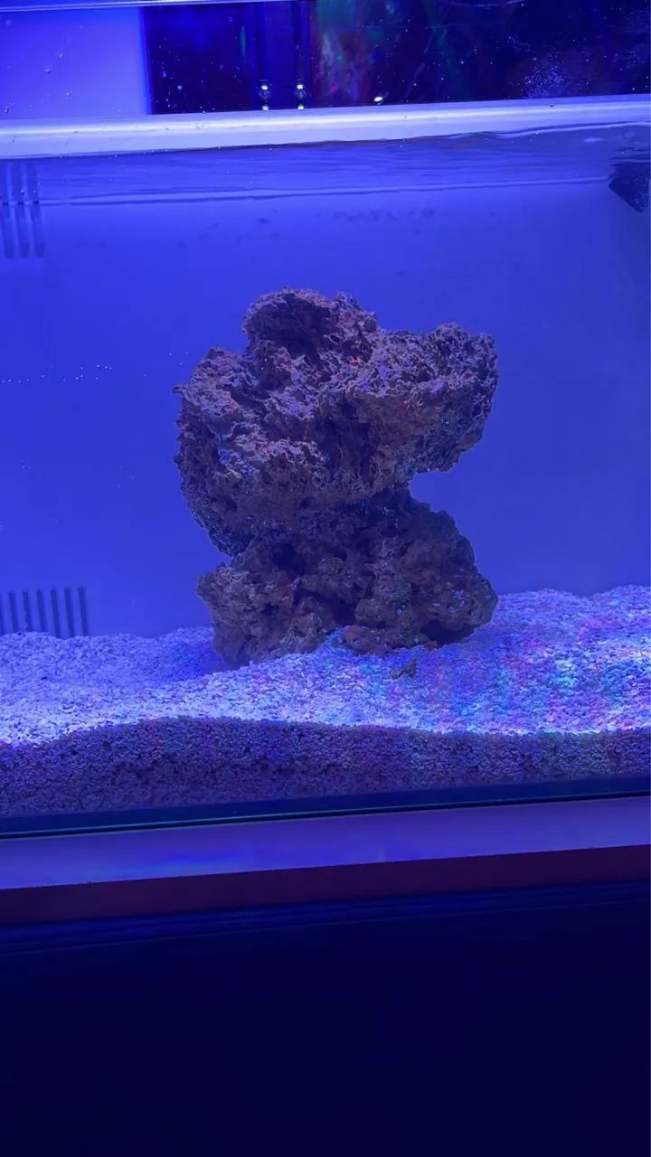 Aquário OCEANTECH 32 L  - Foto 5