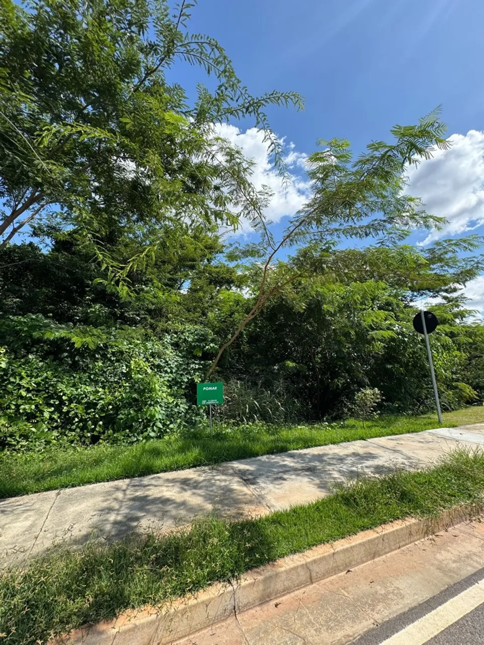 Lote plano frente ao pomar - Florais