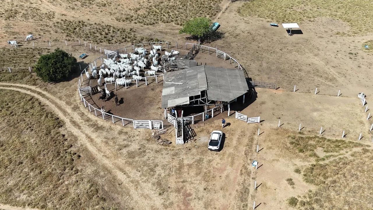 Faz 86 Alq 60 Alq de Pasto toda plena na br153 dos dois lados  - Foto 10