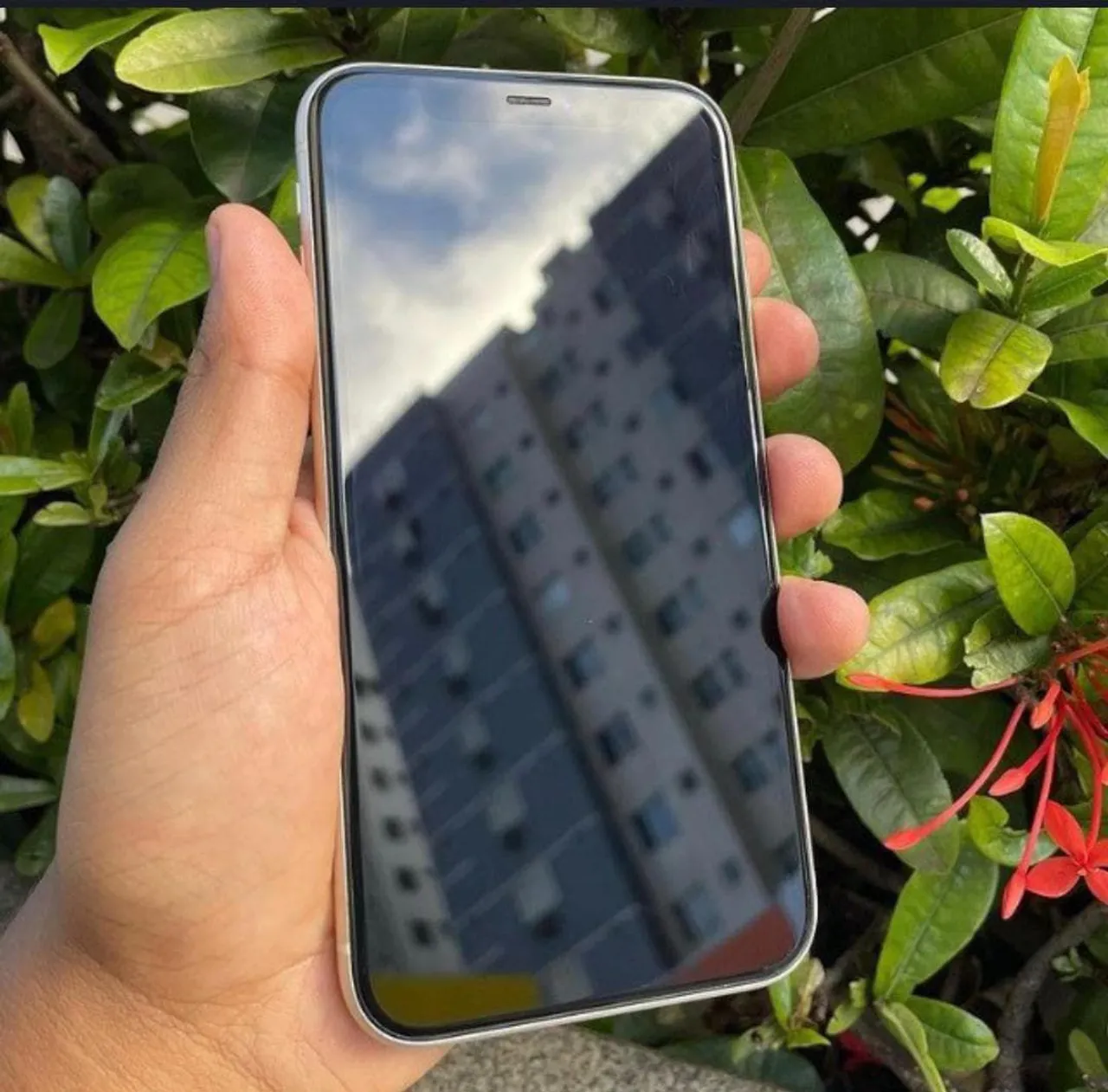 Iphone 11 64 gigas