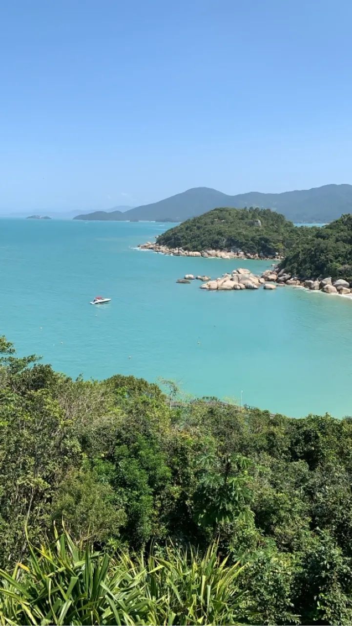 Foto - Canela - Suiça