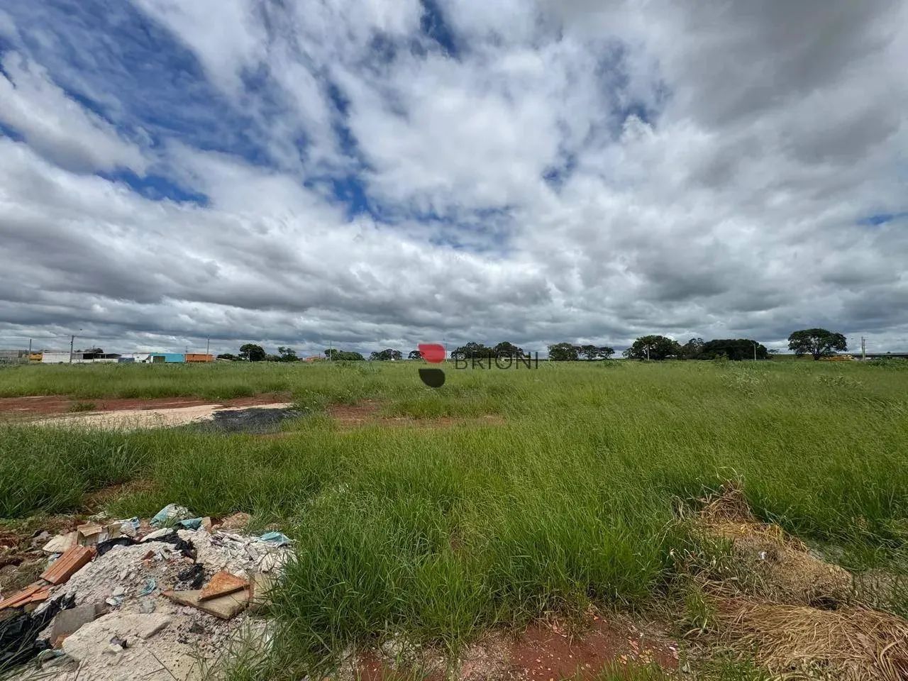 Área à venda, 10000 m² por R$ 15.867.000- Adelino Simioni - Ribeirão Preto/SP - Foto 4