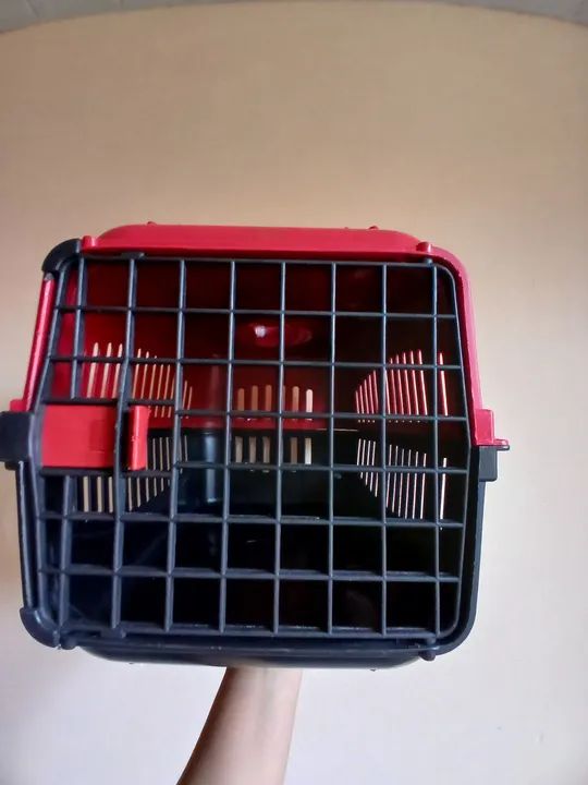 Vende-se caixa de transporte para pets - Foto 4