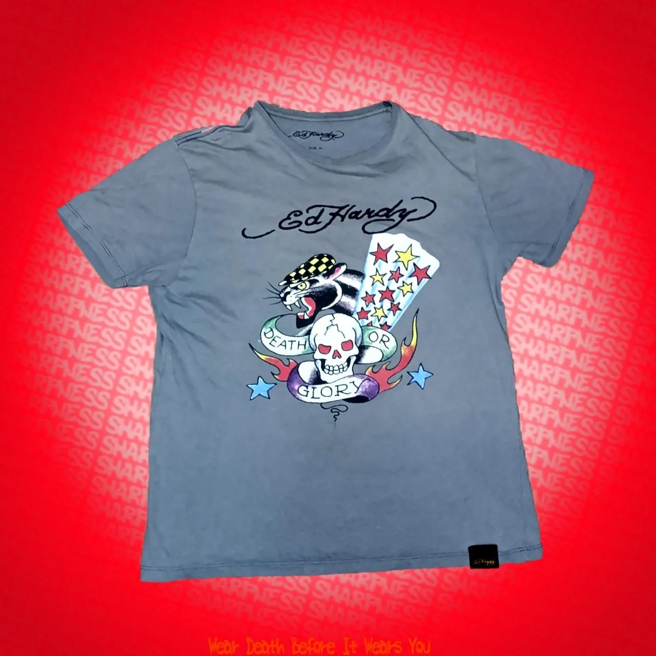 Camiseta Ed Hardy Death or Glory