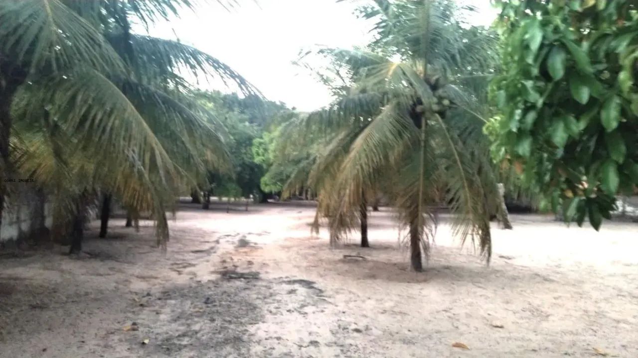Sítio / Chácara para Venda em Pindoretama, Pindoretama, 3 dormitórios, 3 suítes, 3 banheir - Foto 2