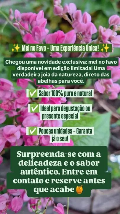 Mel de abelha no favo  puro e fresco - Foto 2