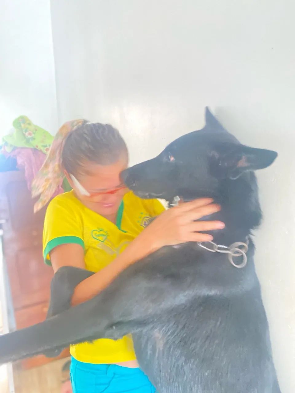 Pastor Alemão disponível para cruza - Foto 4