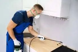 Dedetização produtos sem cheiro