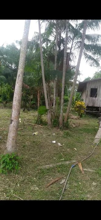 foto - Belém - Área Rural de Belém