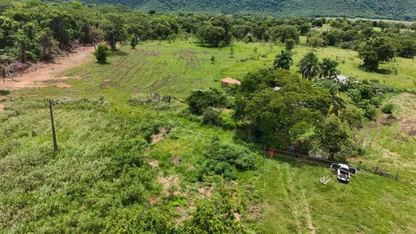 Chácara 35 Hectares em Bandeirantes-MS! - Foto 2